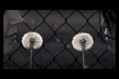 0830e00c4f803232 (399x266, 14Kb)