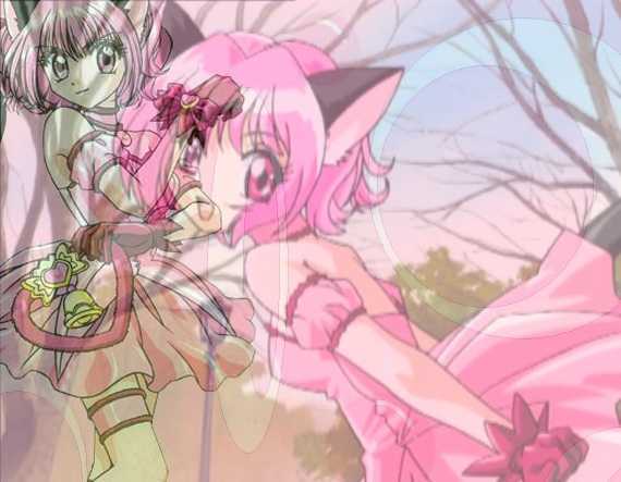  (570x443, 26Kb)