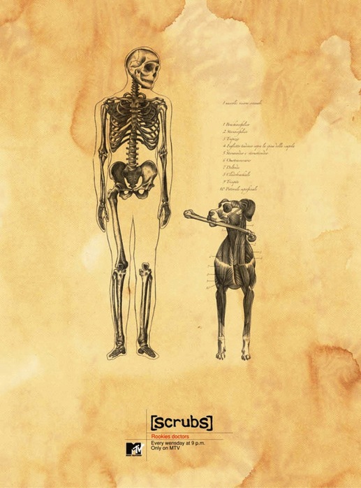  (517x698, 99Kb)