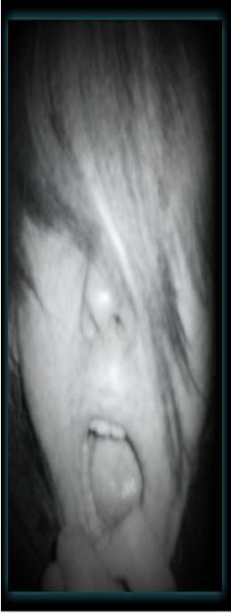  (259x688, 16Kb)