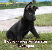  (200x193, 28Kb)