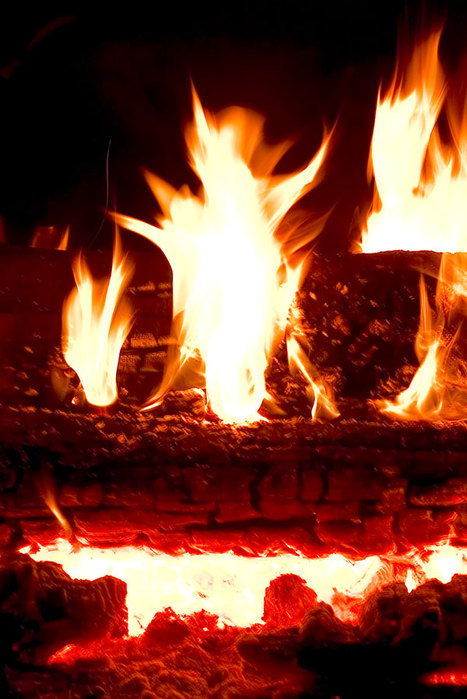 Fire of life. Огонь жизни