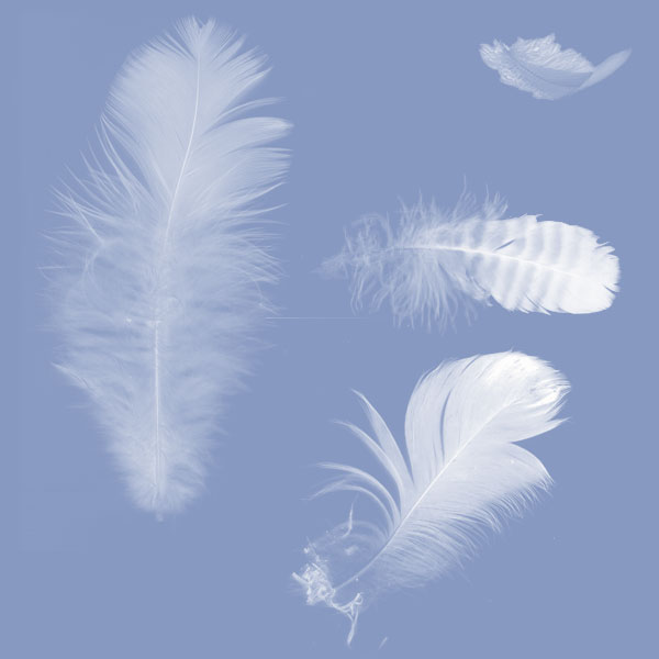  (600x600, 26Kb)