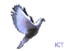  (64x47, 14Kb)