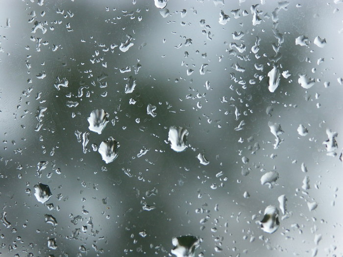 4859881_pict4091 (700x525, 92Kb)