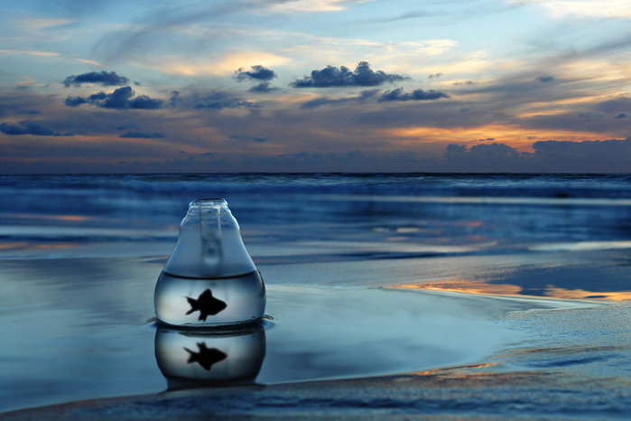 4617131_3968537_Ink_Sea_by_ahermin (699x466, 60Kb)