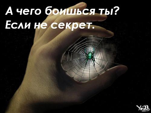 1111 (500x375, 25Kb)