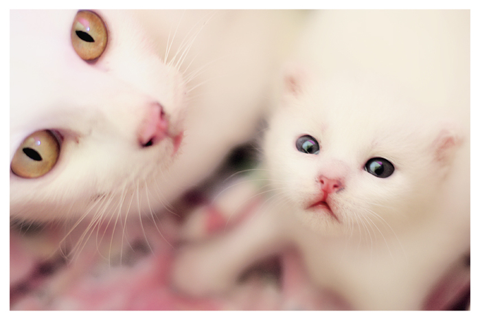 4944447_My_beautiful_mama_and_me__by_SubterfugeMalaises (699x466, 174Kb)