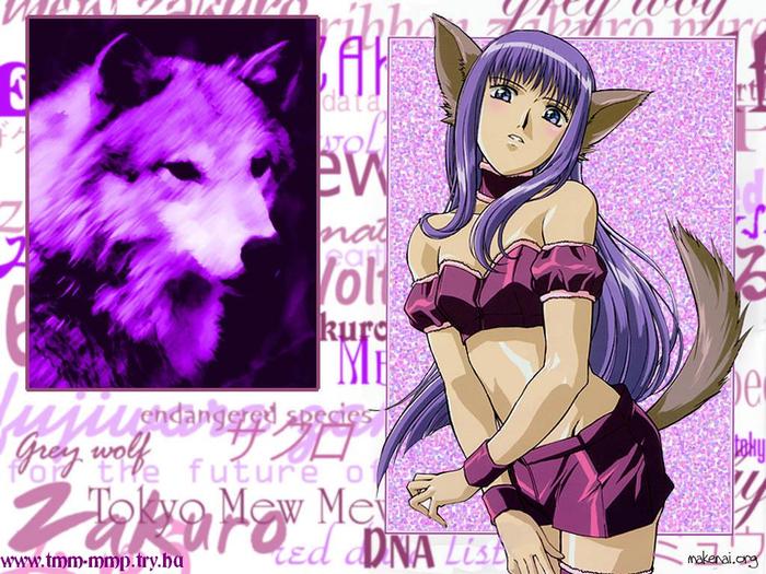  (700x525, 86Kb)