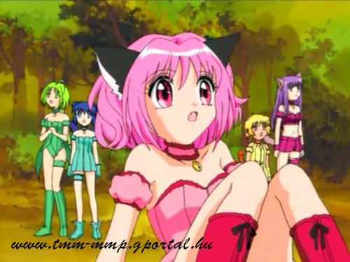  (500x375, 34Kb)