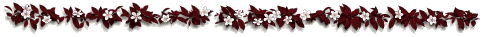 1193584139_3324409_1988917_131 (485x37, 7Kb)