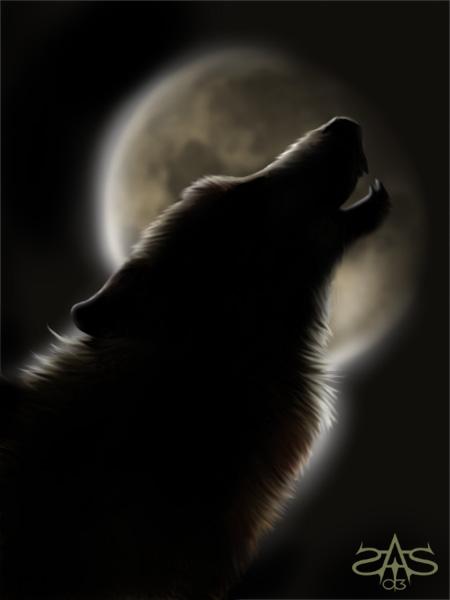  (450x600, 14Kb)