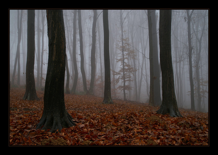  (699x498, 142Kb)