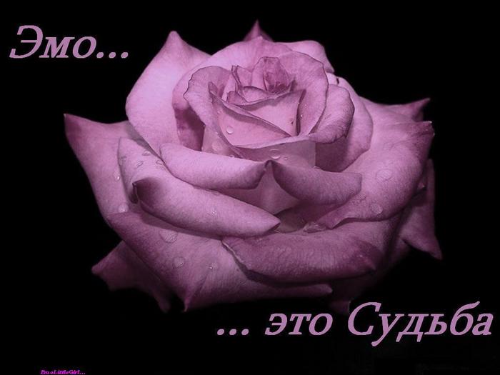  (700x525, 32Kb)