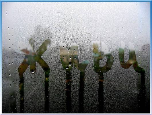  (530x400, 61Kb)