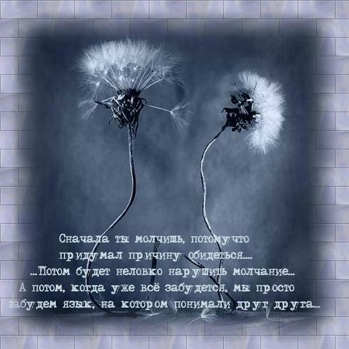 6255906_1193404313_1407780_3da4cd2a5c32 (500x500, 42Kb)