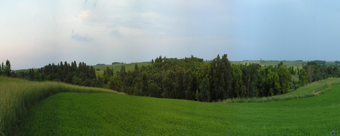  (700x280, 40Kb)
