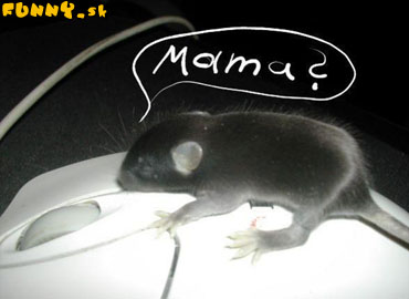  (370x270, 31Kb)