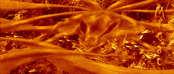  (350x150, 79Kb)