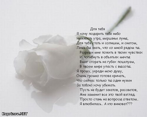  (500x400, 29Kb)