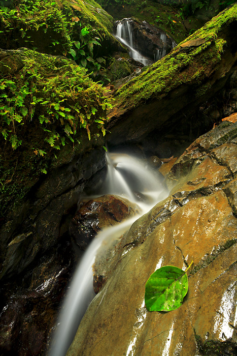 Costa Rica3 (467x700, 239Kb)