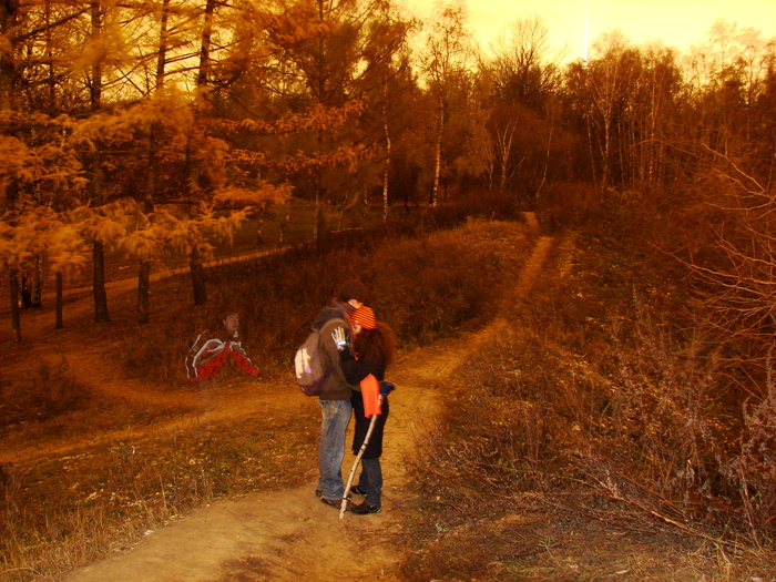 DSC09484 (700x525, 230Kb)