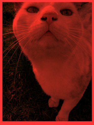  (300x399, 100Kb)