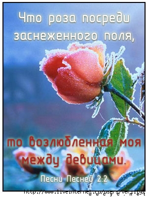  (300x400, 40Kb)