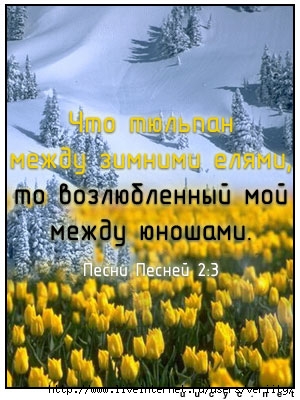  (300x400, 46Kb)