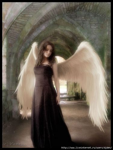 2789300_Wandering_Angel_by_Kencho[1][1] (375x500, 28Kb)
