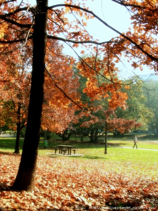 autunno010 (524x700, 184Kb)