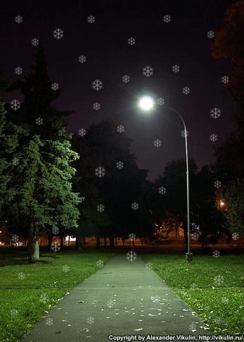  (357x500, 274Kb)