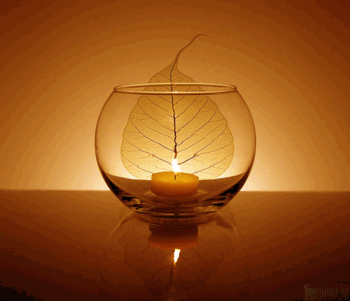 //img0.liveinternet.ru/images/attach/b/3/7/873/7873429_764afce8c414.gif