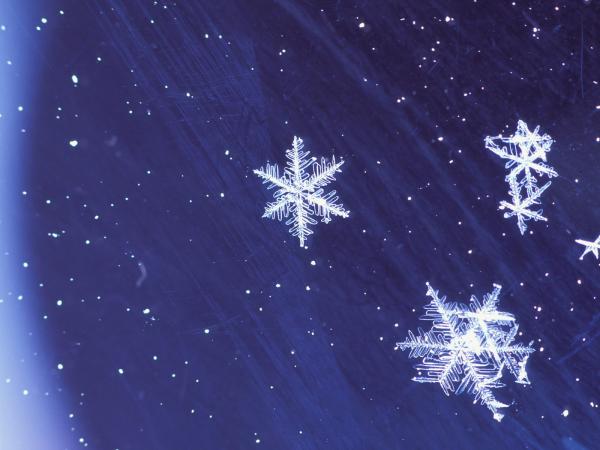 7268461_seasons20winter_115 (600x450, 32Kb)
