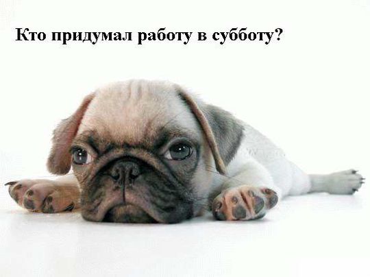  (540x404, 24Kb)