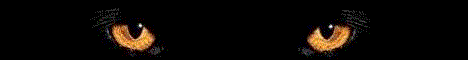 3 (468x60, 12Kb)
