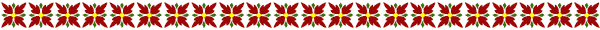  (600x30, 5Kb)