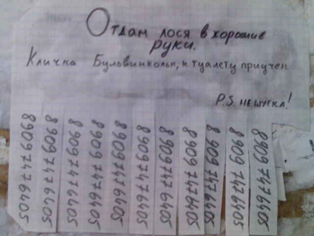  (640x480, 41Kb)