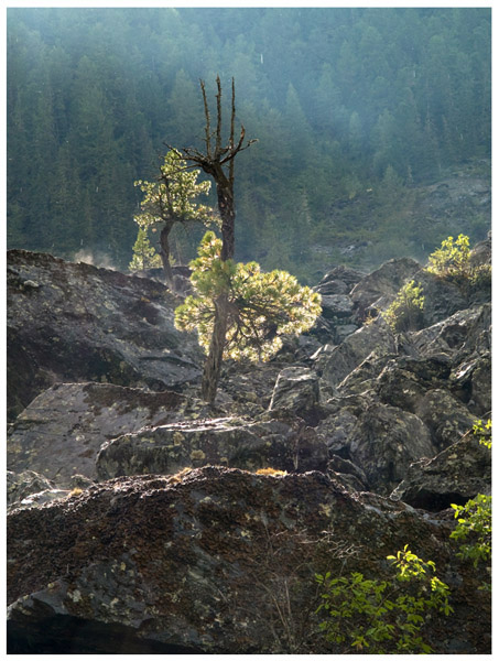  (453x600, 148Kb)
