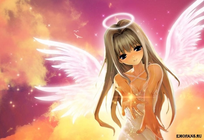 2244_1_1194710252 (700x482, 95Kb)