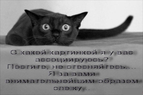  (600x400, 41Kb)