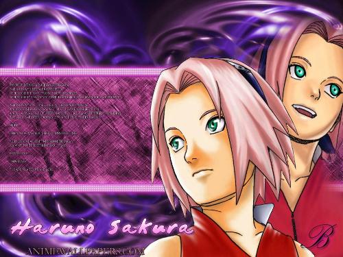  (500x375, 45Kb)
