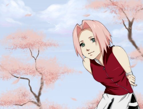  (500x380, 30Kb)