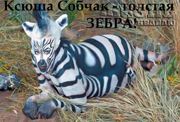  (600x405, 110Kb)