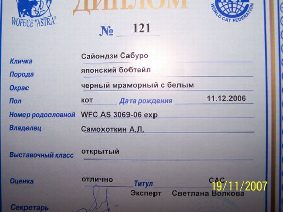  (555x416, 49Kb)