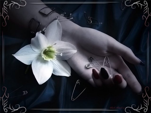  (640x480, 43Kb)