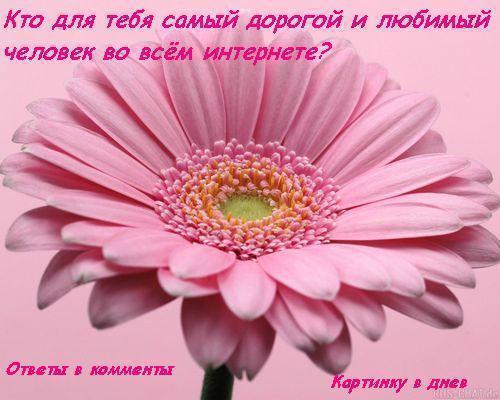  (500x400, 36Kb)