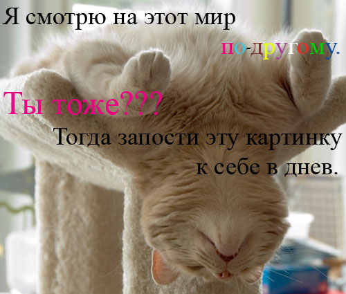  (500x425, 81Kb)