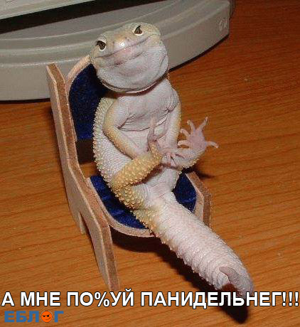  (422x460, 58Kb)