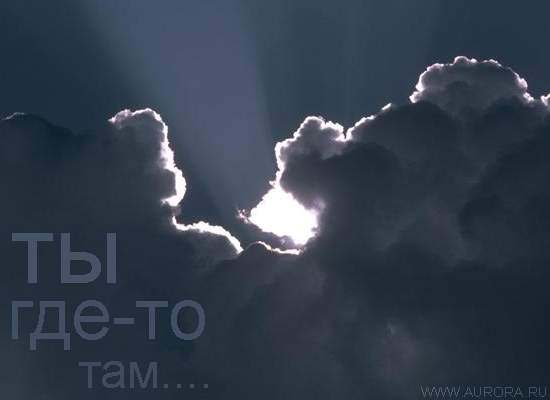 1690_b (550x400, 10Kb)